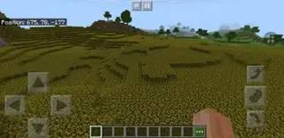 5 Odd Biomes