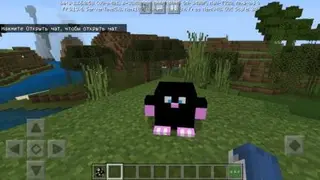 Moles