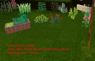 Flora Bedrock