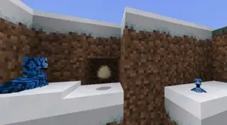Woody's Fossils