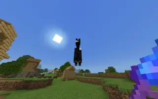 Gravity Stick