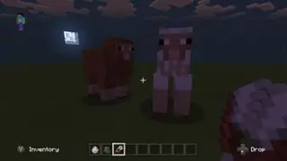 Very Crazy Mobs