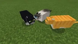 Fat Cats