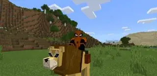 Big Cats 2
