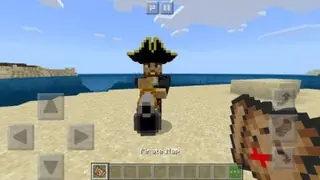 Terraria Pirate Captain Boss
