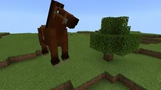 Giant Warrior Creatures