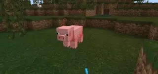 Bedrock Plague