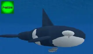 Killer Whale