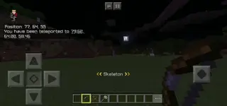Bow Auto-Aim