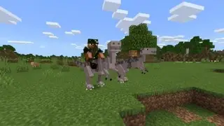 Velociraptor