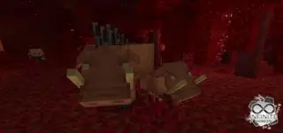 Nether Features