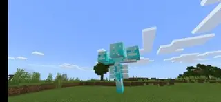 More Wither