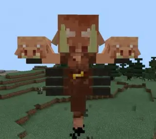 Piglin Wither