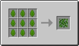 MiniTrees