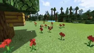 Smaller Bees