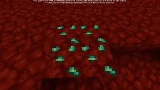 Liveable Nether