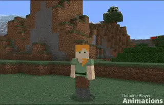 Detailed Player Animations