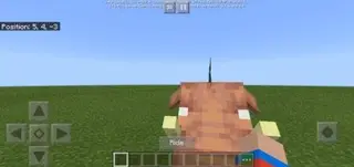 Rideable Hoglin