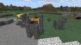 Elephants