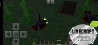 Firefly