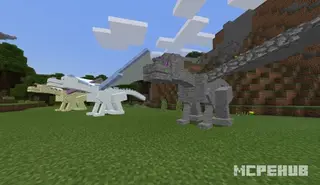 DRAGONCRAFT