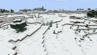 Infinite Snow World
