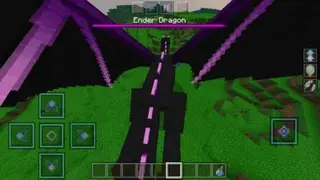 Dragon Morph