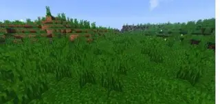 Enhanced Biomes