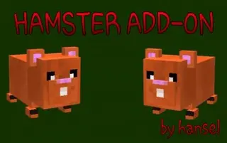 Hamster