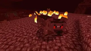 NETHERCATS