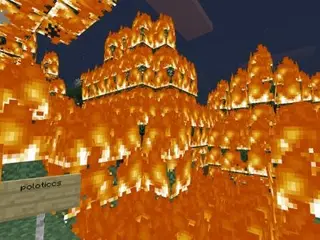 Wildfire