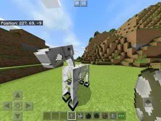 Extreme Hardcore