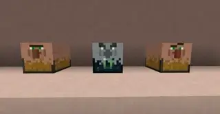 Villager Chests