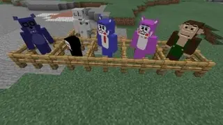FNAC MCBE