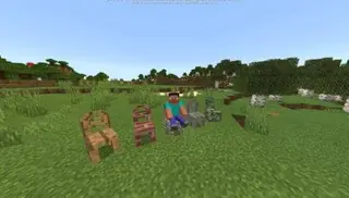 Chairs
