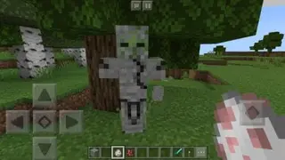 Cave Creatures