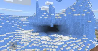 More Biomes