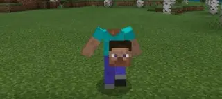 Emote Ball Head