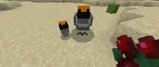 Dodos