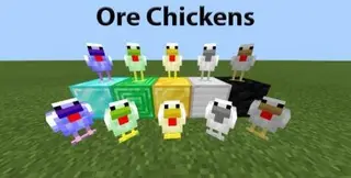 Ore Chickens
