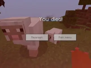 Animal Attack