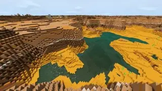 Endless Mesa Biome