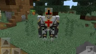 Village Protector