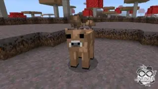 Brown Mooshroom
