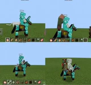 More Riders