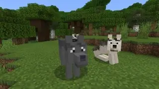 DIREWOLVES