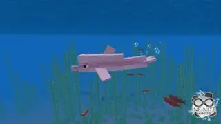 Pink Dolphin