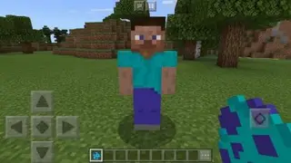 Steve