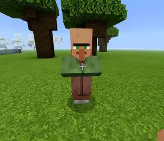 Nitwit Spawner Trader