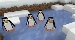 Penguin